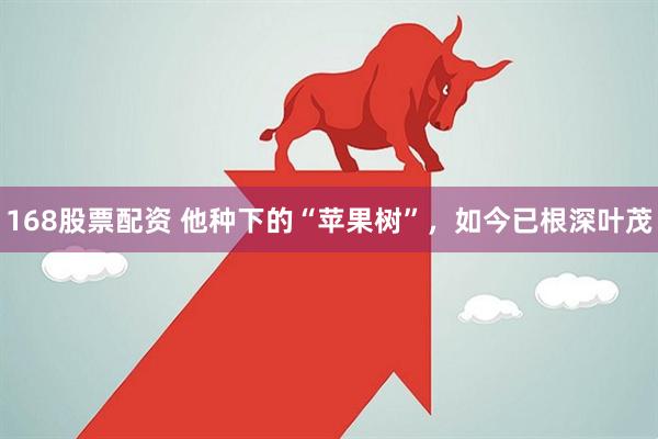 168股票配资 他种下的“苹果树”，如今已根深叶茂