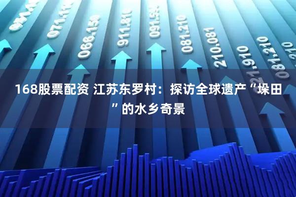 168股票配资 江苏东罗村:探访全球遗产“垛田”的水乡奇景