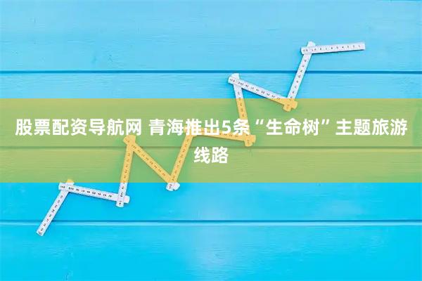股票配资导航网 青海推出5条“生命树”主题旅游线路